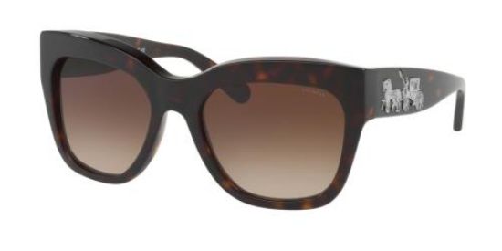 Coach sunglasses 512013 best sale